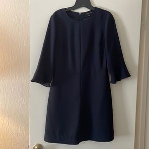 Navy Banana Republic Dress